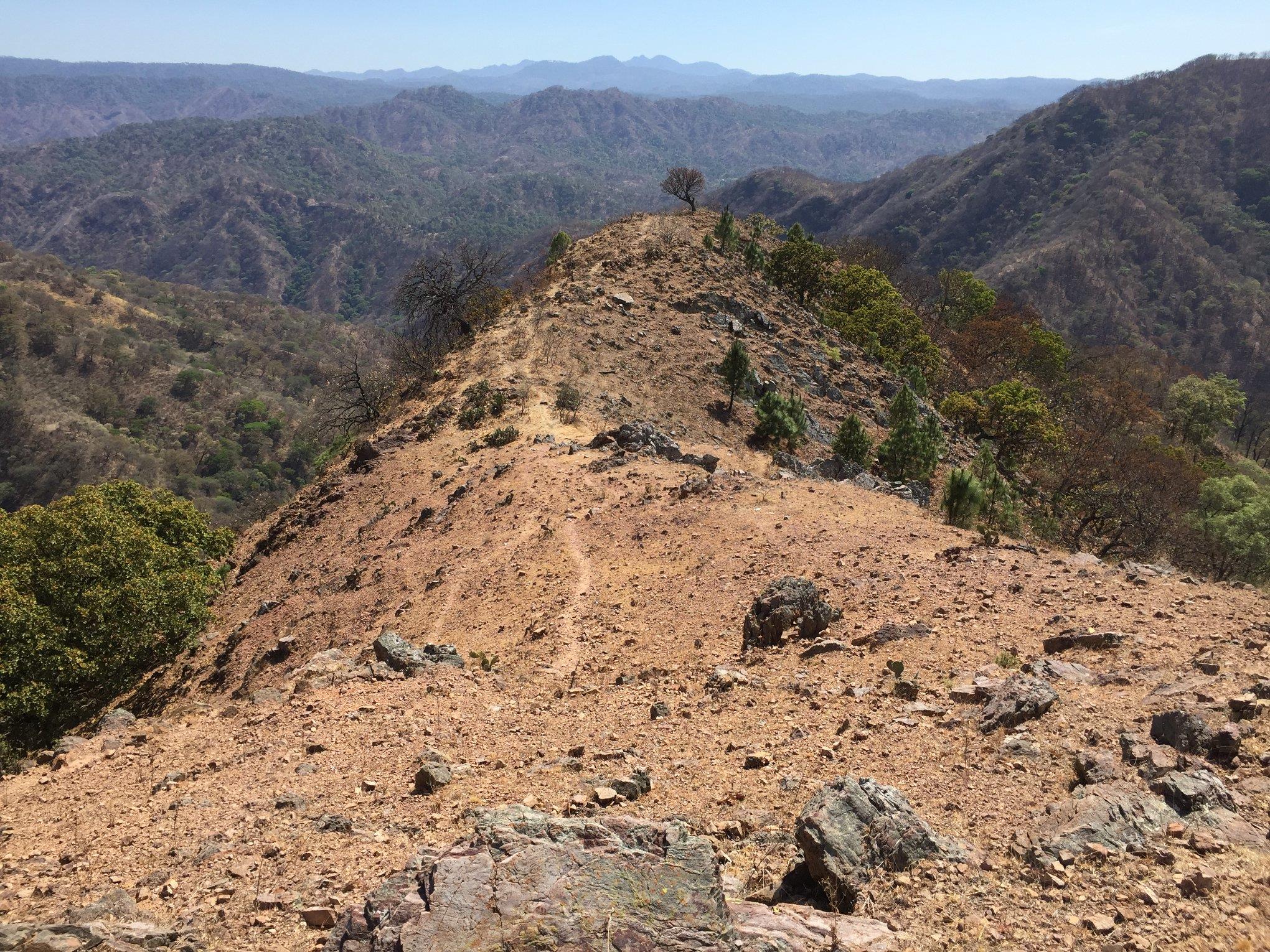 GRUPO MINERO DIFLOR IS ADVANCING THE PROVENIR GOLD PROJECT IN THE SIERRA MADRE