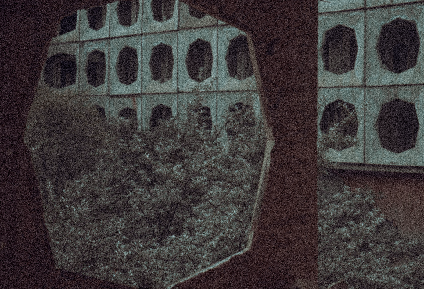 header photo