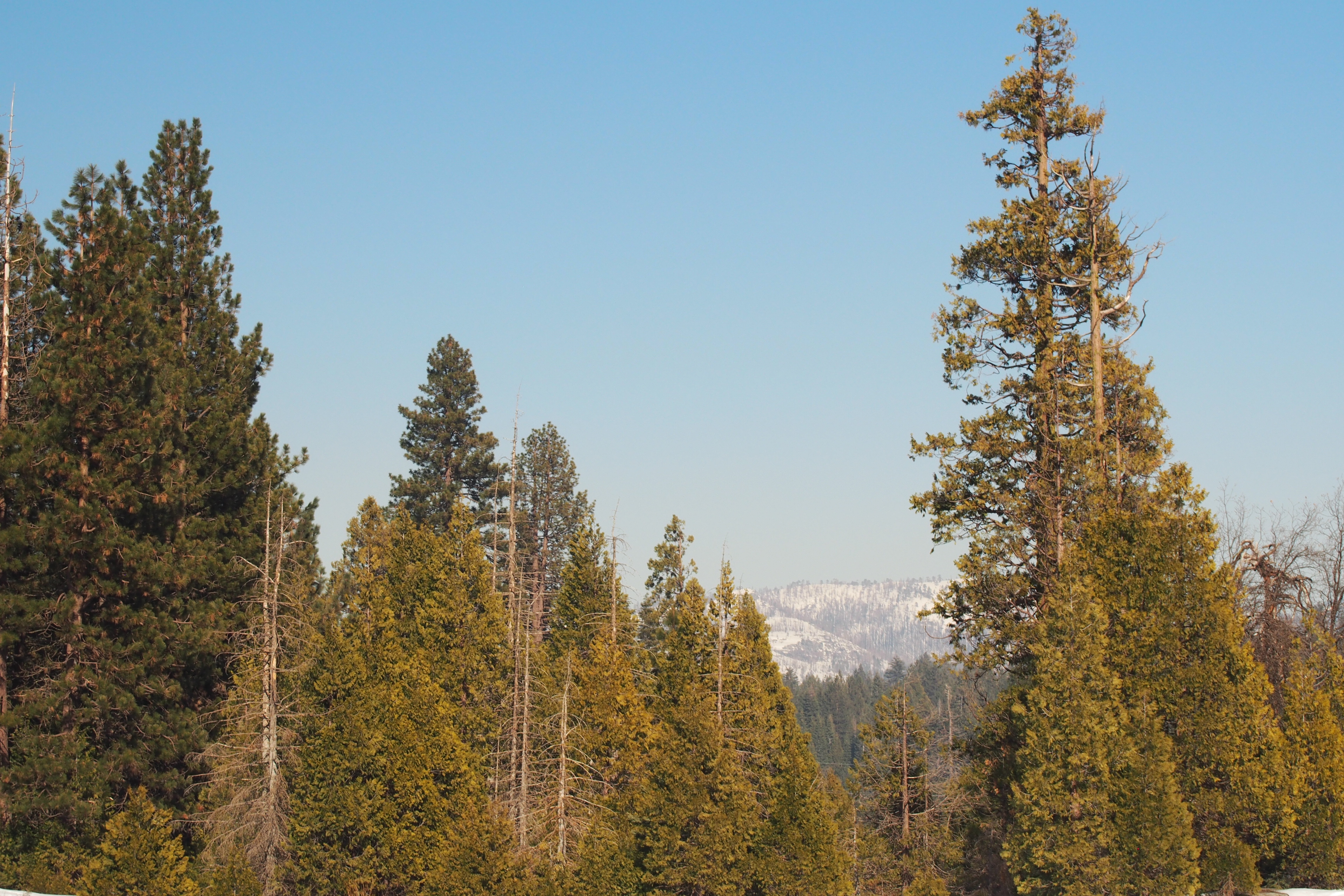header photo